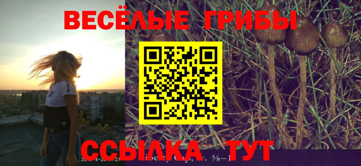 Псилоцибиновые грибы MAGIC MUSHROOMS  Вход с VPN  Обнинск 
