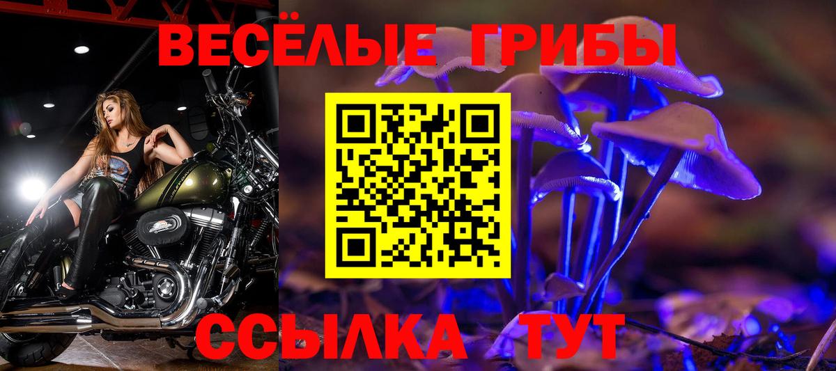 Галлюциногенные грибы Cubensis Обнинск